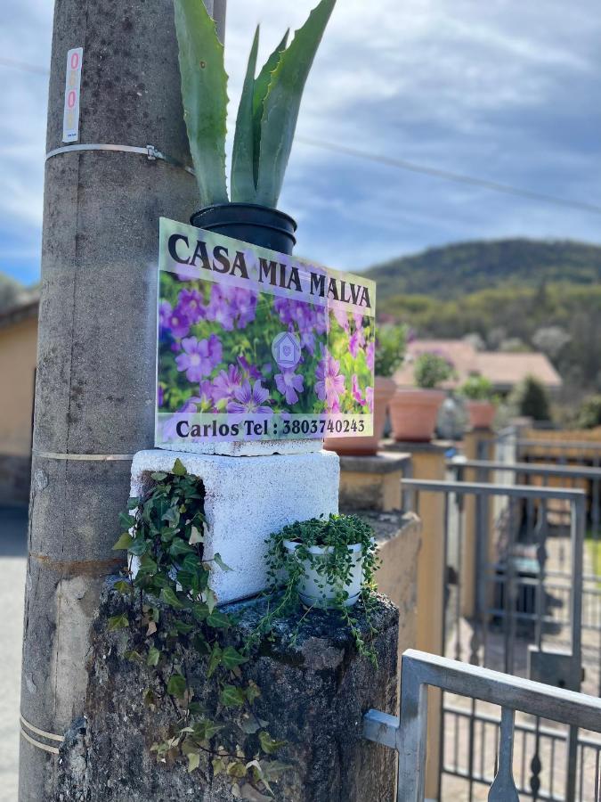 Casa Mia Malva Ricco del Golfo di Spezia